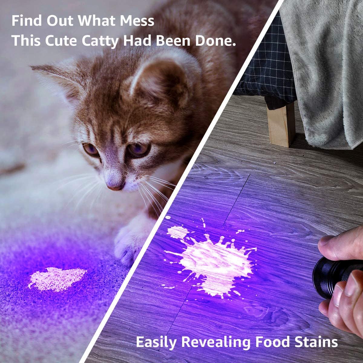 Lepro UV Light, 21 LED 395nm UV Torch, Black Light Detector for Pets Urine, Stain, Bed Bugs on Carpet or Floor, Fake Banknote and More, 3 AAA Batteries Included - Image 2