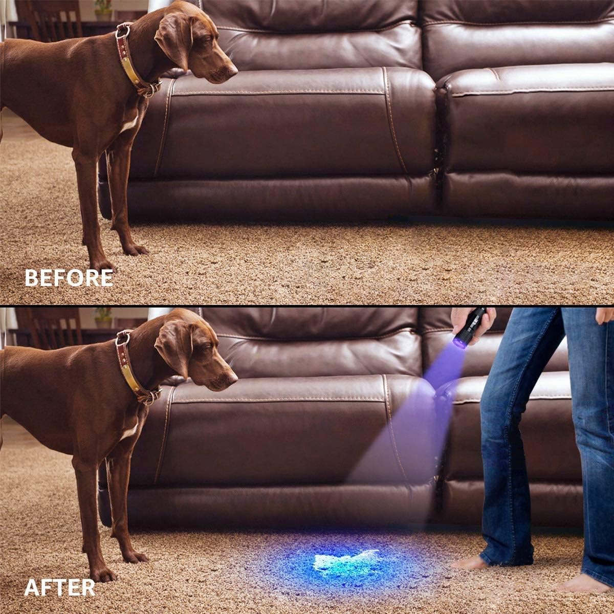 Lepro LE UV Torch, 9 LED 395nm Ultraviolet Flashlight, Blacklight Detector for Pet Urine, Stain, Bed Bugs and More, 3 AAA Batteries Included - Image 10