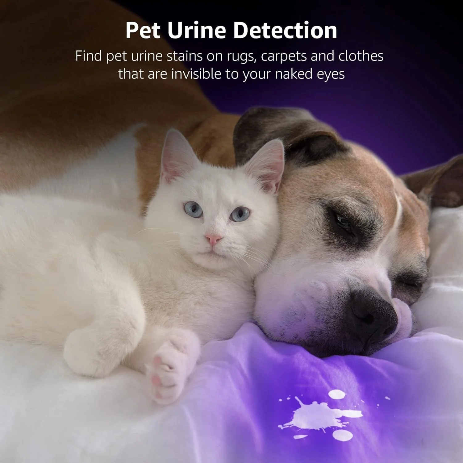 Lepro LE UV Torch, 9 LED 395nm Ultraviolet Flashlight, Blacklight Detector for Pet Urine, Stain, Bed Bugs and More, 3 AAA Batteries Included - Image 2