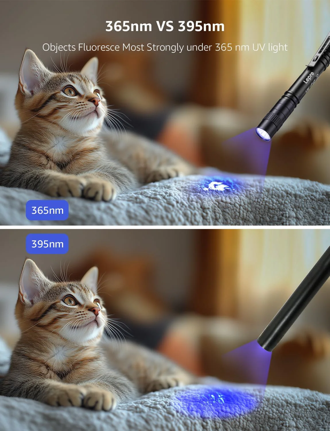 Lepro UV Torch Light, 365nm Ultraviolet Flashlight, Lightweight UV Pen Torch with Clip, High UV Purity, Small UV Light Torch, Black Light Detector for Pet Urine, Stain, Bed Bugs, and More, 2 Packs - Image 2